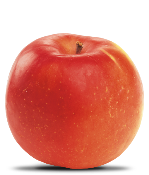 Pomme Dolce Vita - Alliance Perlim-Meylim